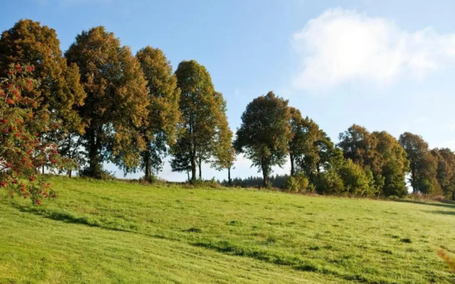 Winterberg Apartment 21128