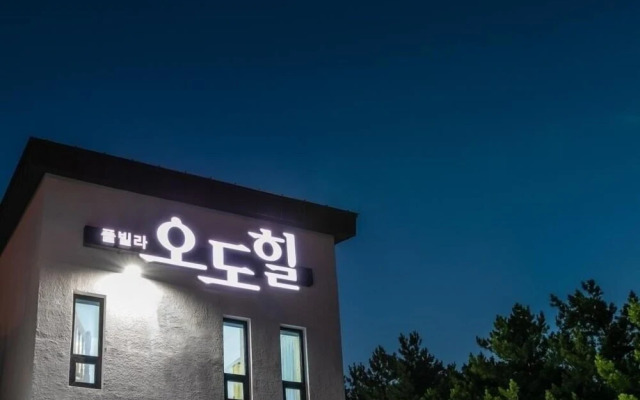 Pohang Ohdoheal Poolvilla