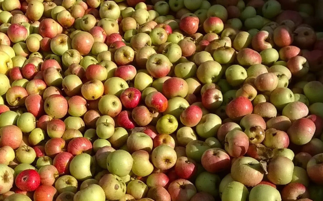 Agricola Tre Rii Sidreria