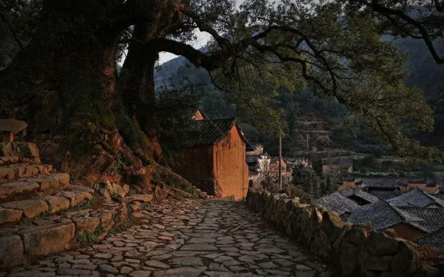 Yangjiatang Seclusive Genealand