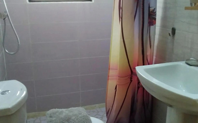 Real Owl Guest House