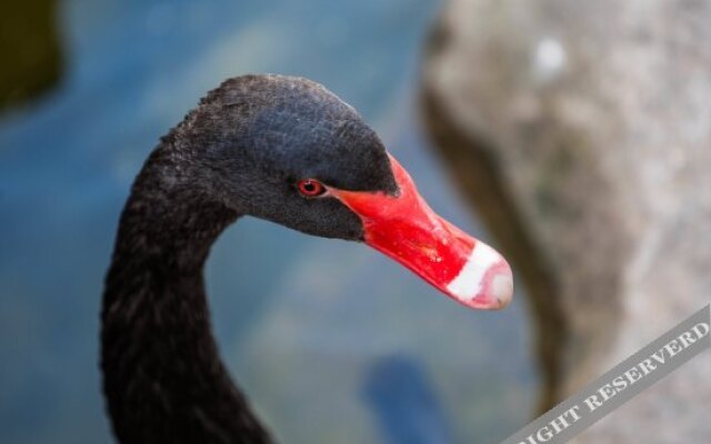 Xiyuanwan Enjoy The Scenery And Stroll Hotel