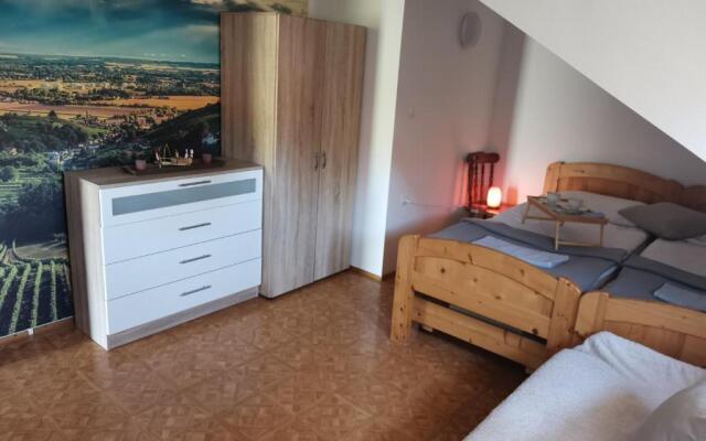 Apartma med vinogradi