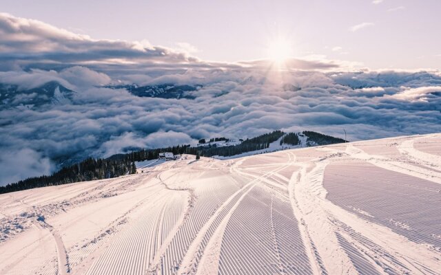 Chalet Badia in Zell am See