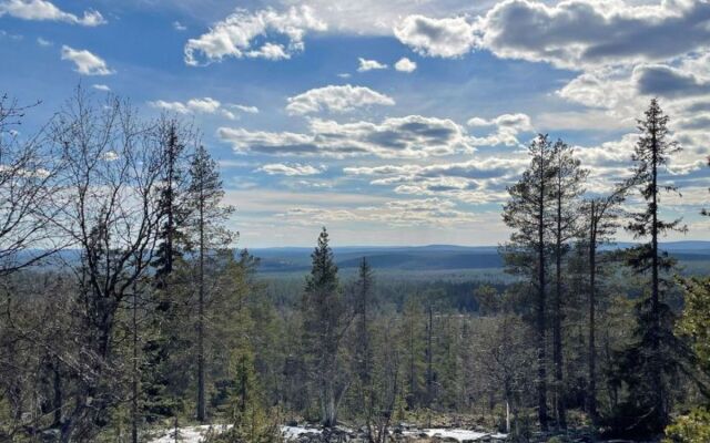 Ylläsriekko / itätupa