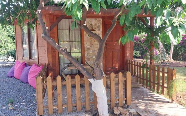 Miss Mandarin Bungalow evleri