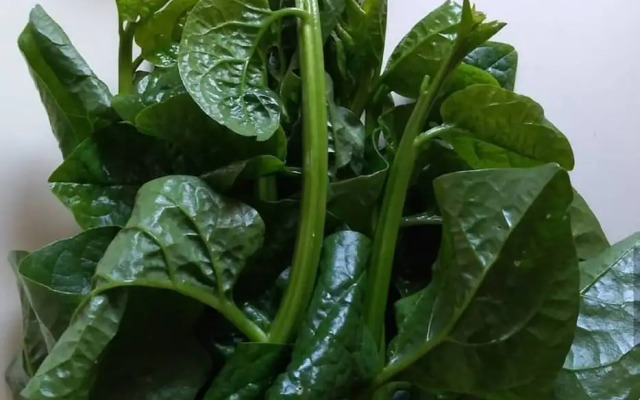 Ryokan Hashimotoya <Niigata>