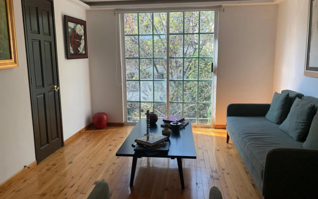 Rooftop Penthouse Lamartine Polanco