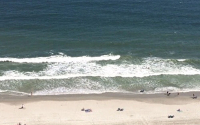 Private 3BR's at Palms by Hosteeva