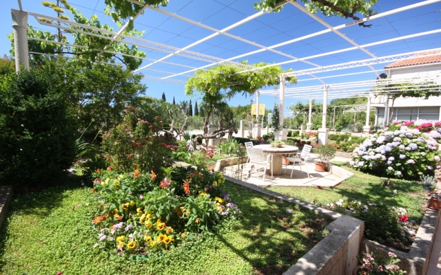 Room Nikola1 - free parking R4 Mlini, Riviera Dubrovnik
