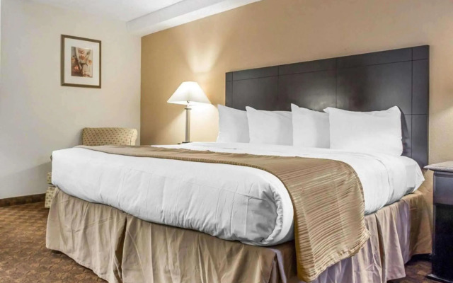 Quality Inn & Suites Coliseum