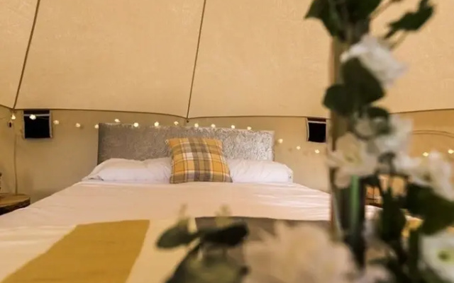 Luxury 4 Person Glamping Tent-Campsite