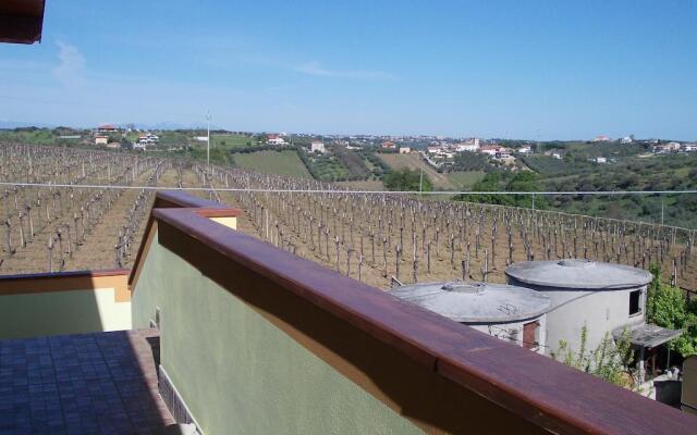 Il Ritrovo Delle Coccinelle