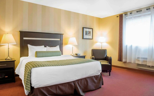 Quality Inn and Conference Centre