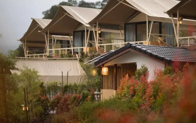 Zen By Stellar Cameron