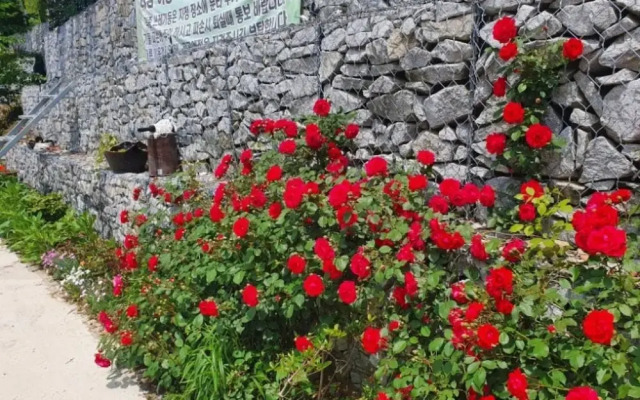 Yecheon Mulmalgeun Sangol Pension