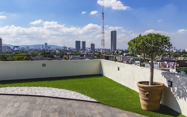 Chapultepec Collections