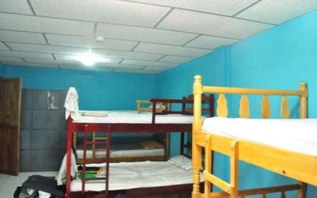 Funky Monkey Hostel