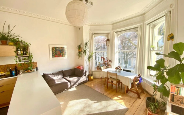 Sunny Seaside Jungle in Brighton and Hove