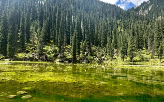 Waterfall in the yard