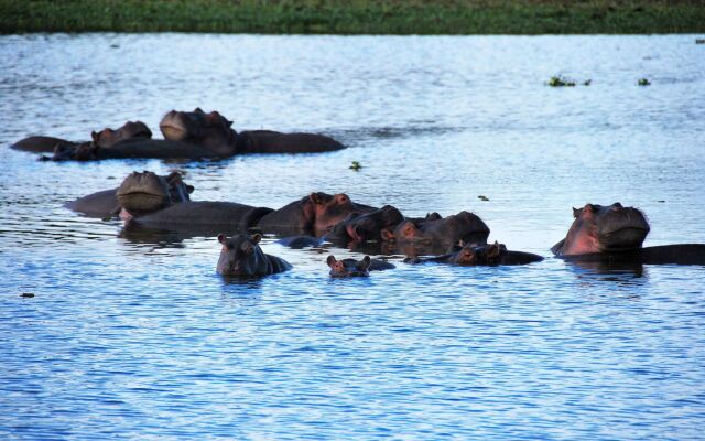 Muthu Lake Naivasha Country Club, Naivasha