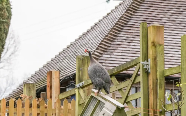 Colly Cottage