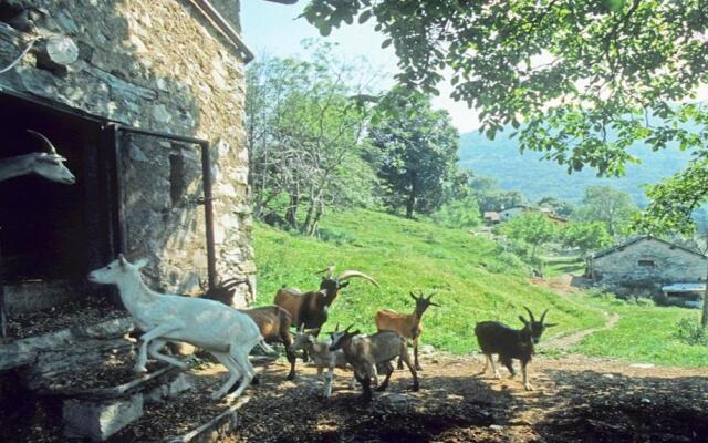 Agriturismo Al Marnich