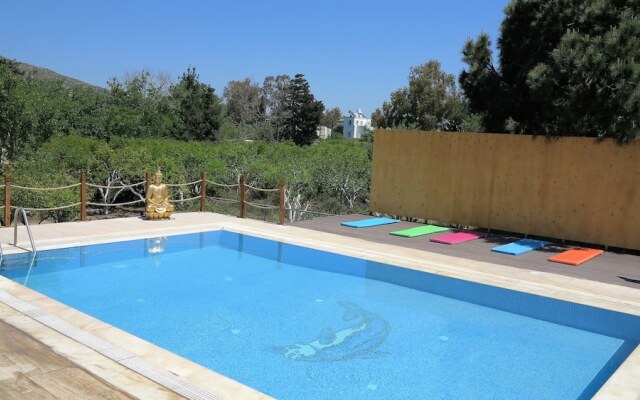 Azure Wellness Retreat - Adults Only