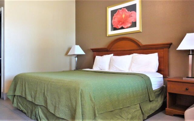 La Copa Inn McAllen