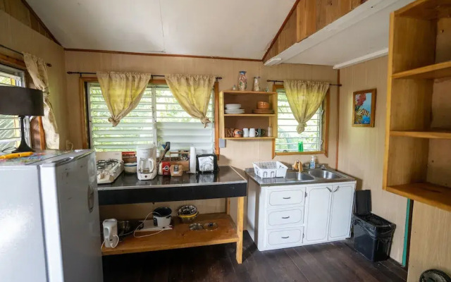 T.R.E.E.S Research Center and Eco Lodge