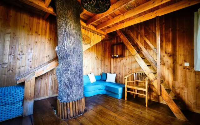 Hetre Sous Le Charme