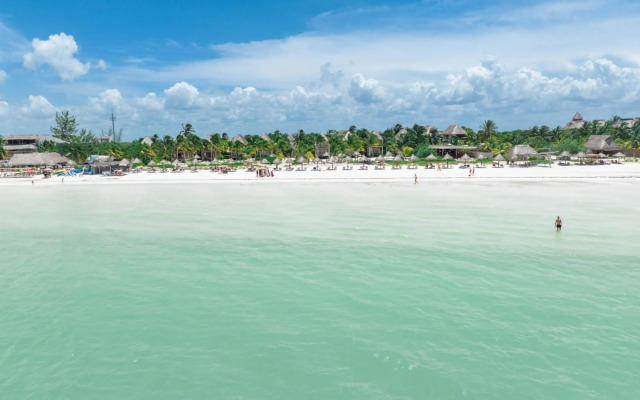 Blue Holbox