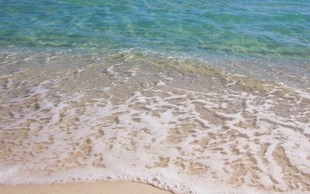 Luau II 6231/6233 - flr2 - 2BR 2BA - (7)