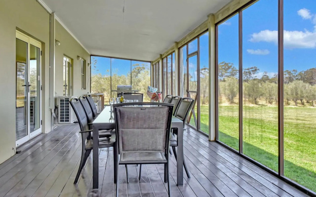 Olives and Vines at Majors Lane