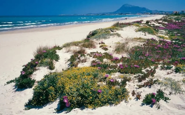 Casa Clare - 3 Bedroom Apartment in Denia