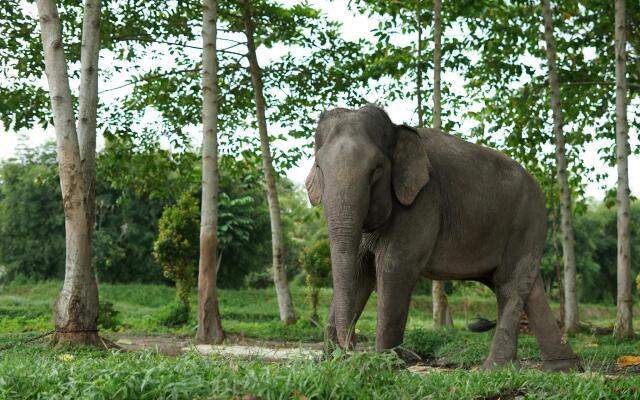 The Nancy's Homestay by RedDoorz