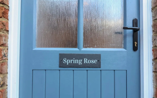 Spring Rose