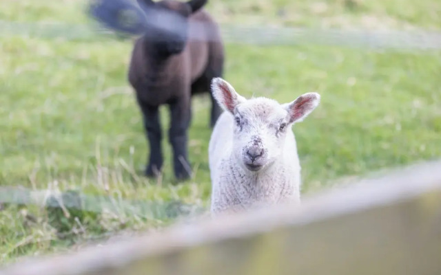 The Bothy - North East Escapes