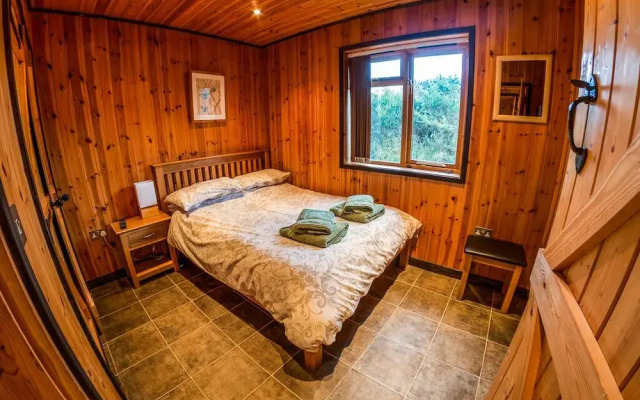 New Forest Lodges