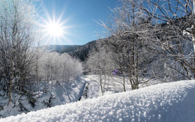 Spacious Holiday Home near Ski Area in Leogang