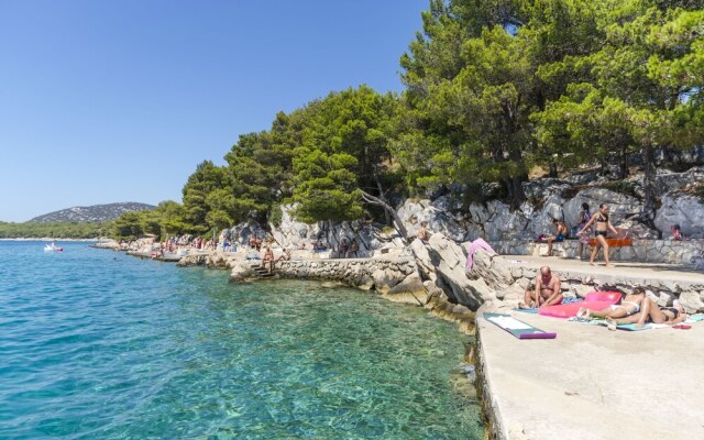 Apartment and Room Ilija