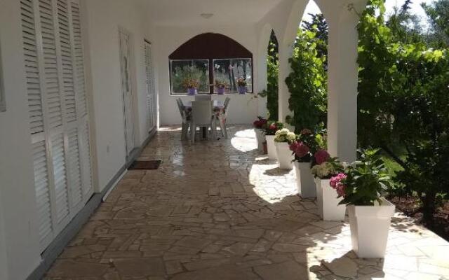 Apartmant Sučić