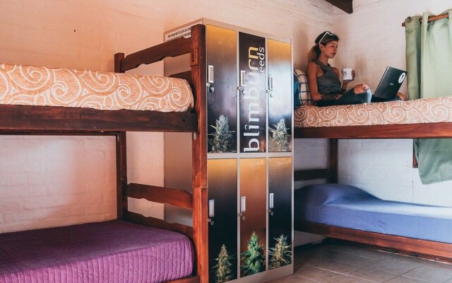 THC Hostel Uruguay