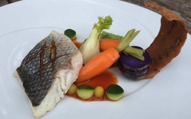 Hotel Restaurant & SPA Plaisir