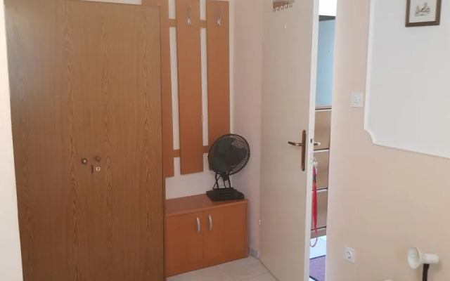 Room Makaj - 80 m from the beach : R1 Cove Basina (Jelsa), Island Hvar