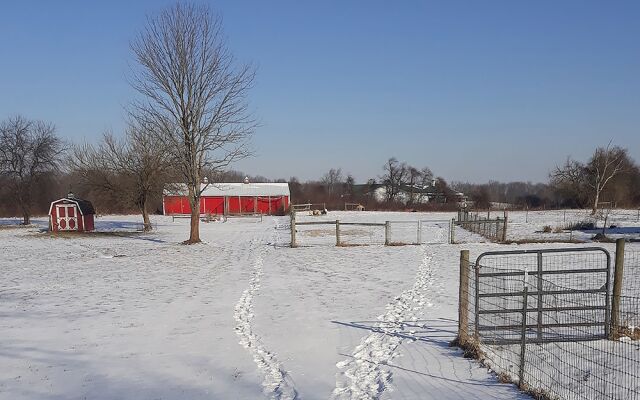 Orchard House Bed and Breakfast