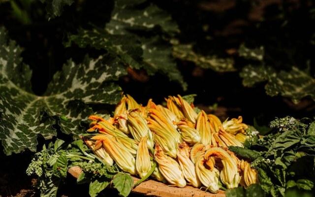 Vallicciola Monte Limbara Nature Hotel