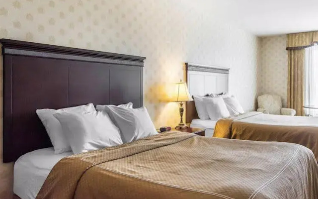 Comfort Inn & Suites