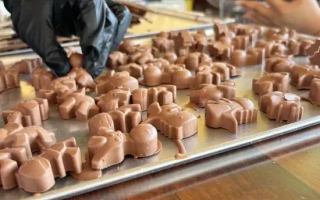 Coco Slow Travel Boutique Resort