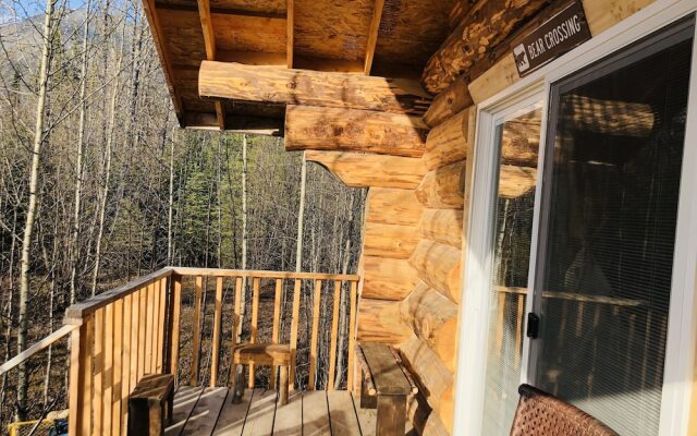 Wrangell Mountain Lodge